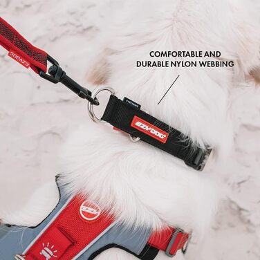 Нашийник для собак EzyDog Checkmate - нашийник-стоппер для собак, навчальний нашийник для дресирування. Підходить для великих, середніх та малих собак (S, чорний)