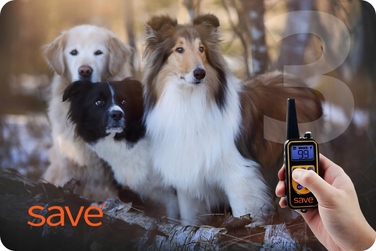 Електричний тренувальний нашийник для собак Save, чорна шкіра, розмір L/XL