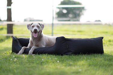 Лебон - Ортопедичне ліжко для собак Паула Плюс, Чорний колір - 3 розміри (80, 100, 120 см), з блискавкою, для прання, легко чиститься, водовідштовхувальне (XL)