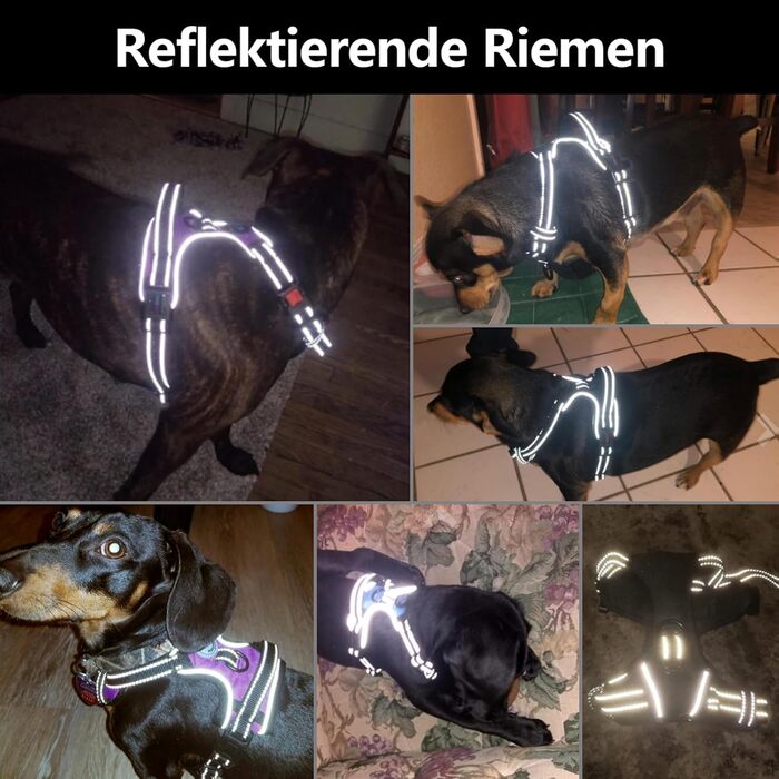 Шлейка для собак PHOEPET No Pull, чорна, L - регульована, з контролем, для прогулянок