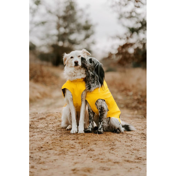 Жовтий дощовик для собак Hunter Milford, розмір 75, поліестер