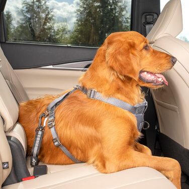 Автомобільний ремінь безпеки для собак Kurgo Swivel Tether з ISOFIX, регульований 38-56 см, сірий/чорний