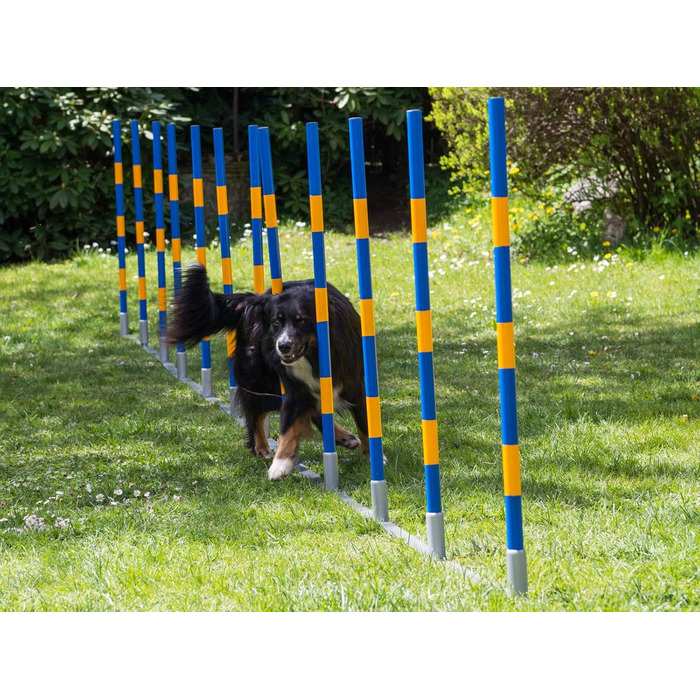 Набір для аджиліті для собак PROCYON Doggy: професійний слалом