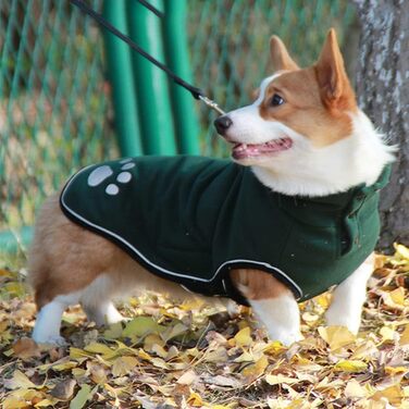 Зимовий теплий одяг для собак: куртка, пуловер, жилет з флісу для маленьких, середніх та великих собак. Зелений колір, для холодних днів.