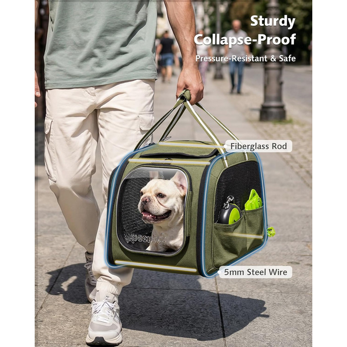 Переноска для котів та собак Pecute XL (55x38x35 см) - складна сумка-переноска з вікном, м'яким килимком, для авто, подорожей, ветеринара, зелена