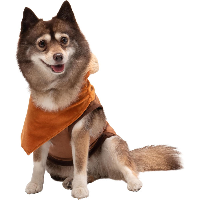 Худі-костюм Євока Star Wars: офіційний, з капюшоном та навушниками, розмір M, багатокольоровий