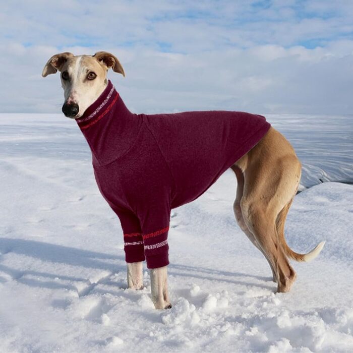Теплий пуловер для грейхаунда, віппета та інших маленьких собак. Червоний, розмір L
