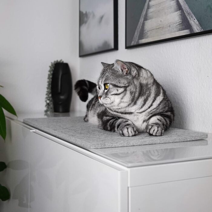 Підстилка для котів на підвіконня LucyBalu з вовняного фетру, лежак для котів, антрацит