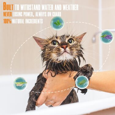 Захисний нашийник від бліх та кліщів для котів Pets4Luv | 8 місяців захисту | Водостійкий, регульований (до 48 см) | 3 шт.