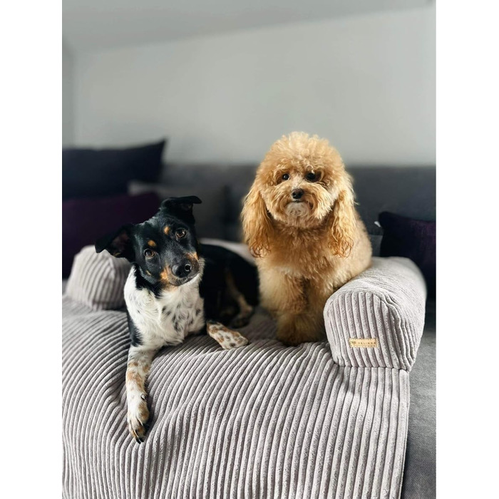 Килимок для собак Velinda: лежанка, захист дивану (сірий, Cord)