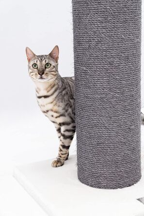 Дряпак для великих котів Petrebels Savannah XXL 86 см, висока якість, товста стовп-колона Ø20 см, оф-вайт