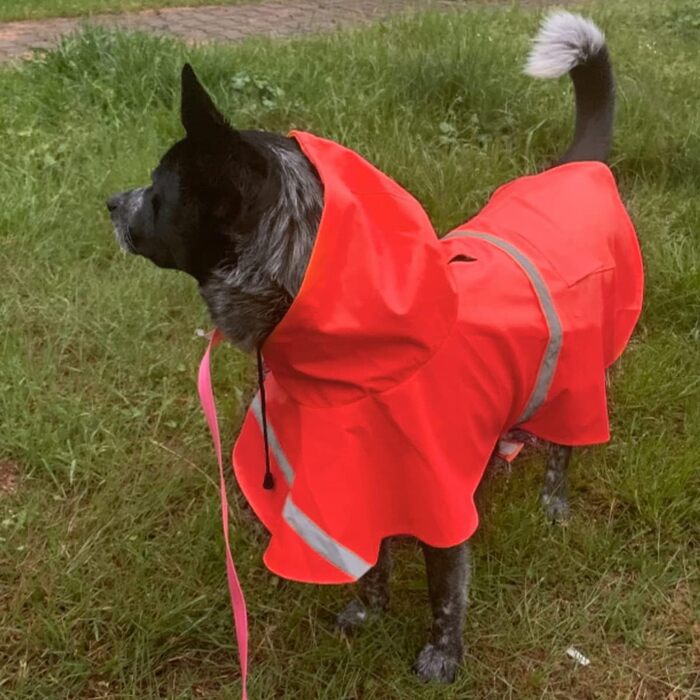 Дощовик для собак, дощовий плащ для собак з капюшоном, підходить для шлейки, легкий та світловідбиваючий дощовик для собак середніх та великих порід (Червоний, S)