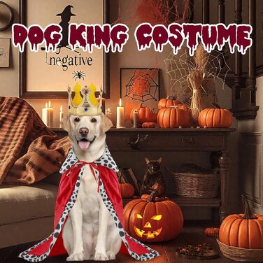 Костюм для собак 