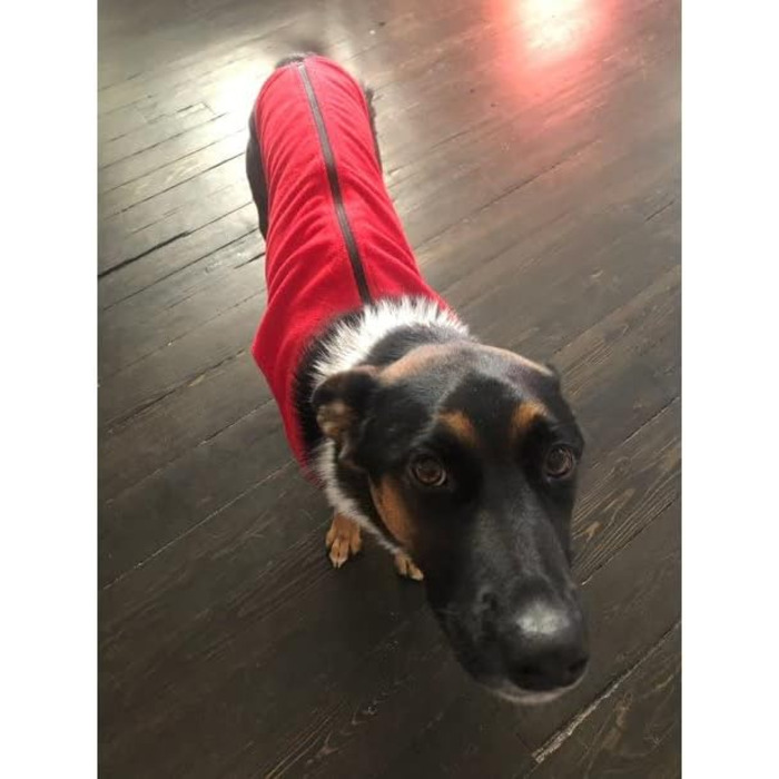 Теплий пуловер для собак Gooby з блискавкою, фліс, червоний, розмір 3XL, для маленьких собак, зимовий, без кільця, з можливістю підключення повідка