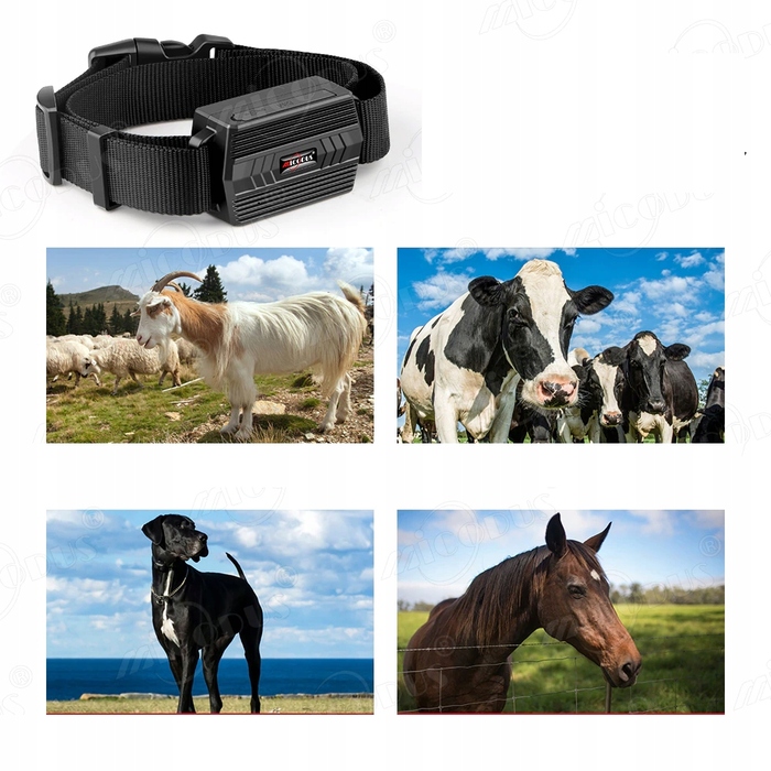 GPS-нашийник-трекер TK935 для тварин (собак і котів) з функцією SOS та мобільним додатком