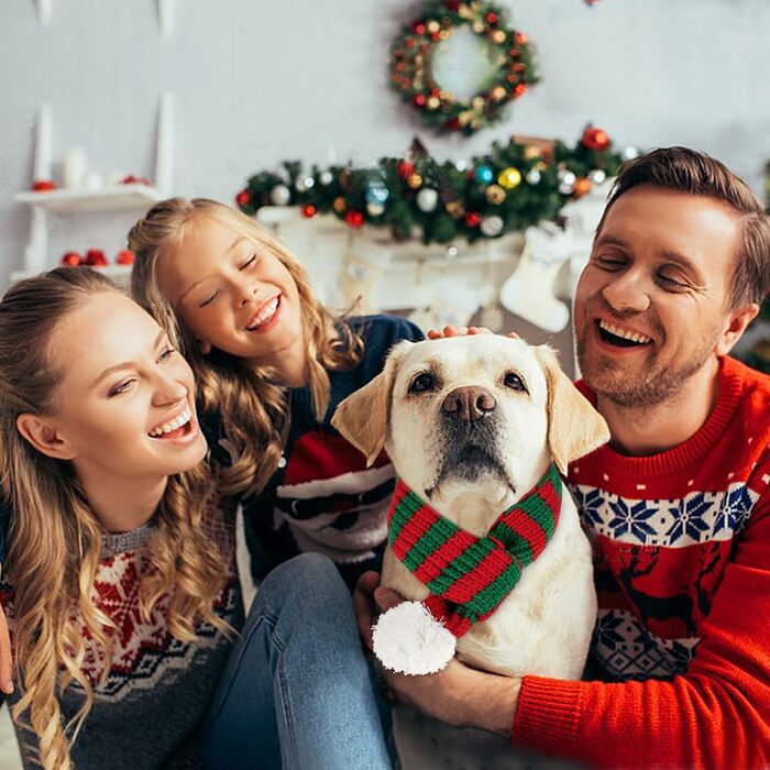 Шарф для кота та собаки на Новий Рік, костюм, червоний, для прикрашання, одяг для домашніх тварин, костюм на Новий Рік, червоно-зелений, середній, розмір M