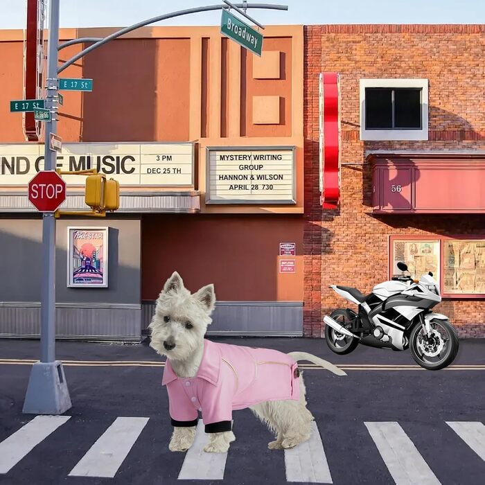 Зимовий одяг для собак NIULA: куртка з PU-шкіри, мотоциклетний стиль, водонепроникна, розмір M