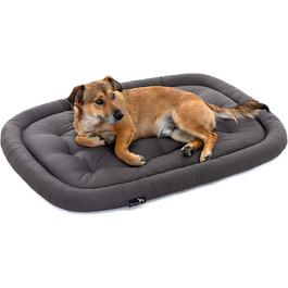 Ортопедичний лежак для собак середніх порід, 90x60 см - Лежанка для собак, що миється до 95°C, без запаху, міцна, для використання в приміщенні та на вулиці, Made in Germany (L - 90x60 см, Антрацит)