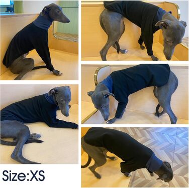 Пуловер для Віндхундів IECOii: теплий, з високим коміром, з флісу, чорний, XS