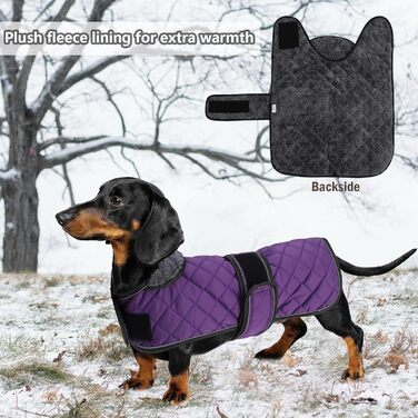 Зимовий теплий одяг для такс (дрібних та середніх) - куртка з плюшем, регульованим поясом та отвором для повірця, Geyecete, колір: зелений, розмір: L, фіолетовий
