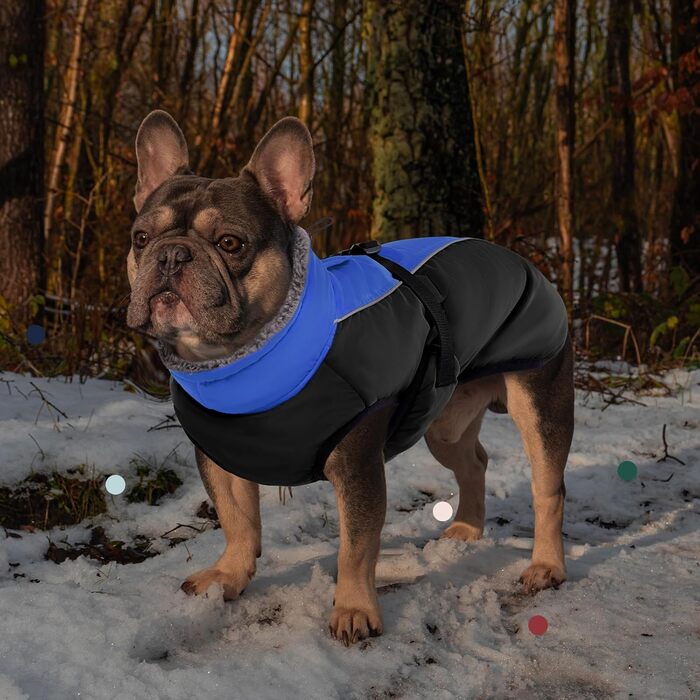 Зимовий теплий куртка для собак IECOii з флісу, водонепроникний, з регулюванням, для маленьких, середніх та великих собак