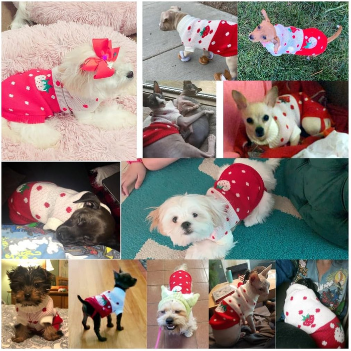 Пуловер для собак CHBORCHICEN, теплий в'язаний, з коміром-горловиною, зимовий, з принтом полуниці та сердечок, червоний, розмір M, рожевий