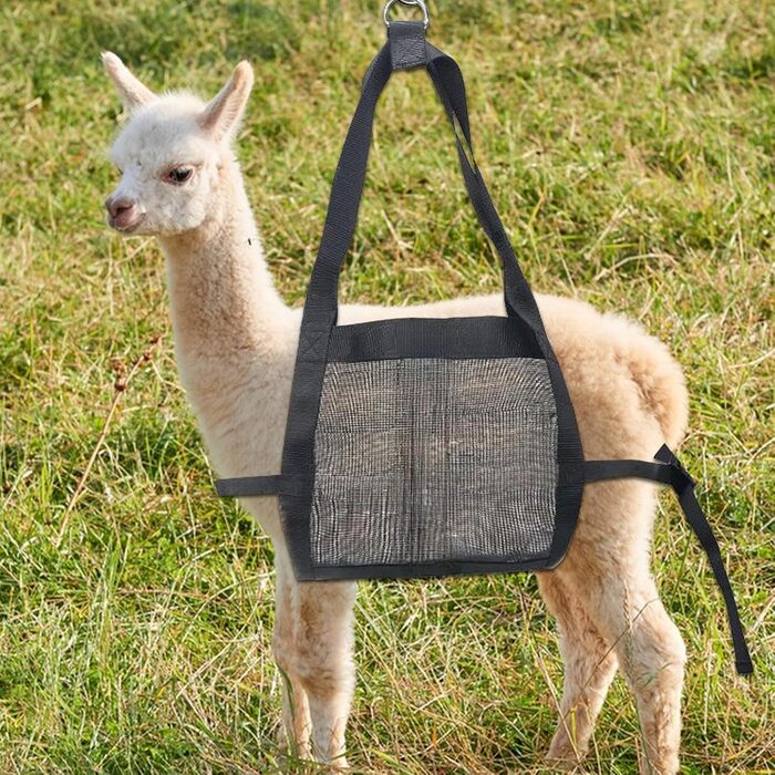 Вага для собак, телят, ягнят та альпак | Переносний знімний ремінь для грумінгу
