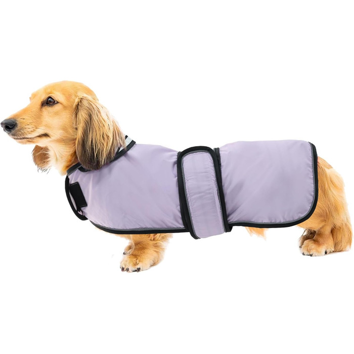 Дощовик для собак Geyecete, регульований, водовідштовхуючий, для такс, з світловідбиваючими ременями, з поясом на липучці, розмір M (довжина спини 42-45 см), колір фіолетовий