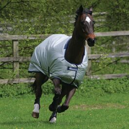 BUCAS Водонепроникна попона для коня Power Turnout Classic, срібляста, 155 см