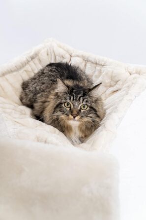 Дряпка для котів Petrebels Alexis 224 до стелі, 45x35x224 см, кремово-бежевий