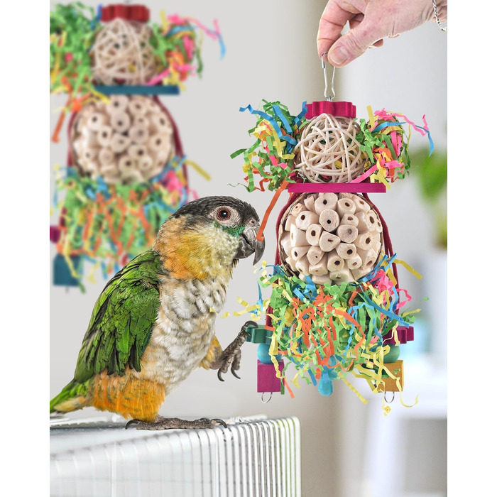 Іграшки для папуг Bissap Conure, 2 шт, підвісні, для пошуку корму, з дзвіночком і сола-м'ячами, для хвилястих папуг, нерозлучників, корел, іграшки для клітки