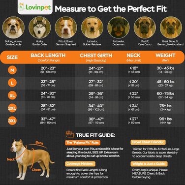 Комбінезон для собак великих порід LovinPet: дихаючий, з UV-захистом, антибактеріальний, для відновлення після операцій, зелено-помаранчевий, XX-Large