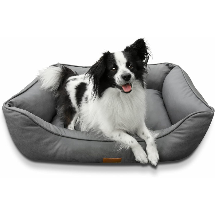 Ортопедичне ліжко для собак Gear Belluno 60x80 см, кошик для собак, Oeko-TEX, миється, без запаху та гігієнічне