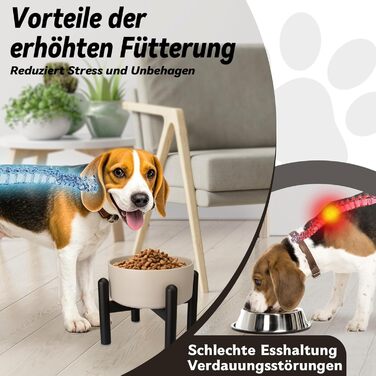 Підвищена годівниця для собак, керамічна миска для корму з нержавіючою підставкою - для маленьких та середніх собак, діаметр 15,5 см, об'єм 850 мл, білий колір