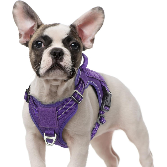 Нагрудник для собак Rabbitgoo середнього розміру, анти-тяга, регульований з ручкою, міцний, тактичний, з металевими пряжками для прогулянок (M, фіолетовий)