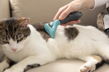 Щітка Furminator для довгої та короткої шерсті