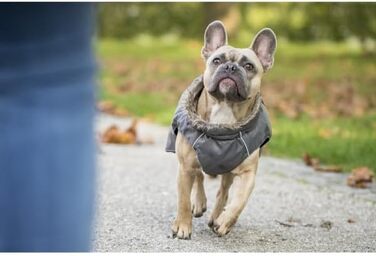 Теплий зимовий пуховик для собак Chiara з шлейкою, сірий, розмір L, з відбиваючими смугами та штучним хутром