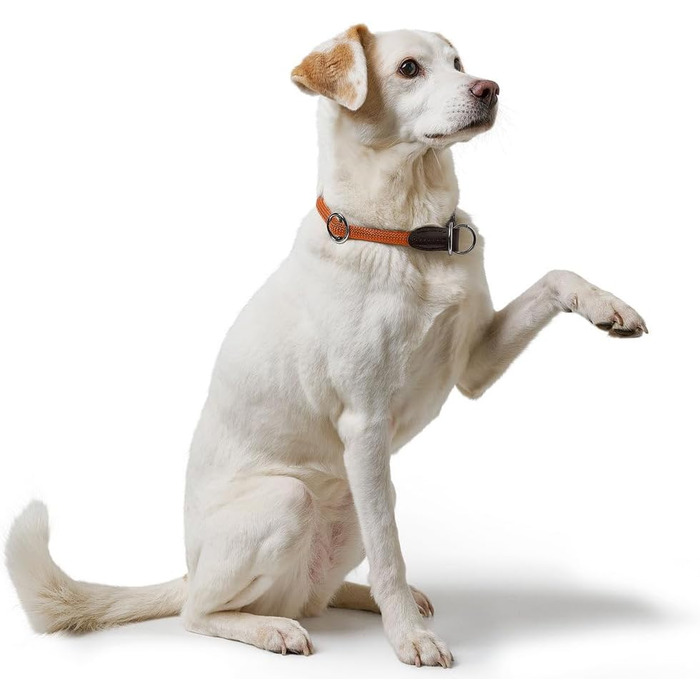 HUNTER Dressurhalsung FREESTYLE, чорний, міцний ошейник для тренувань та повсякденного використання, розмір L