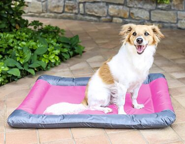 Водонепроникний килимок для собак та котів Sogni e Capricci, Рожевий, 55x38 см, Поліестер