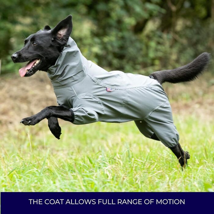 Відбиваюча куртка для собак Hugo & Hudson з капюшоном, вітрозахисний зимовий одяг, помаранчевий (сірий, L55)