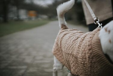 Теплий пуловер для собак HUNTER Malmö, бежевий, в'язаний, розмір 35