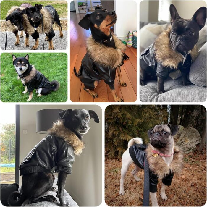 PETLESO Зимовий одяг для собак, тепла флісова куртка, зимова куртка для собак з ґудзиками, шкіряна куртка для маленьких та середніх собак (XXL)