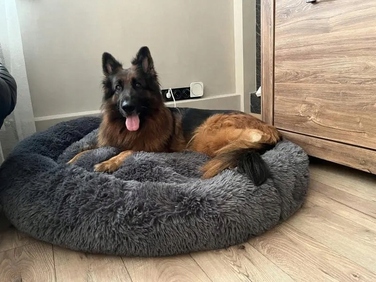Плюшеве лежак-ліжко для собак, сірий, 120 см x 120 см