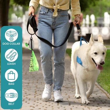 Дозатор для пакетів для вигулу собак Mini Pickup сірого та чорного кольорів (2 шт.)