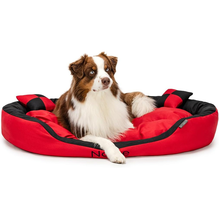 Ліжко для собак Lionto 4-в-1 з двостороннім подушкою, 85x70 см, з міцного оксфорду, з глибоким входом, водовідштовхувальне, з декоративною подушкою, для собак та котів усіх розмірів (червоний/чорний, L 110 x B 80 x H 23 см)