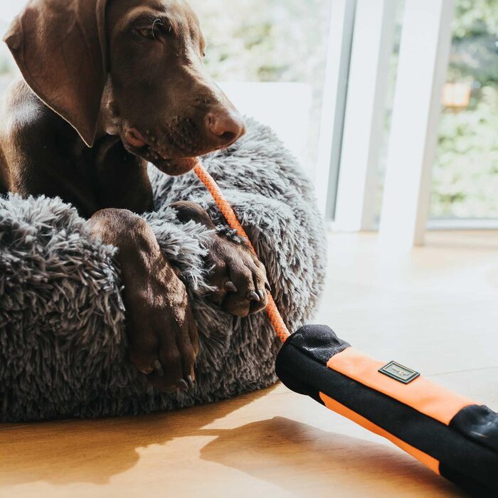 Лопа (LOPPA) - м'яке ліжко-подушка для собак та котів, ковзаюча основа, прання при 30°C, білий, L