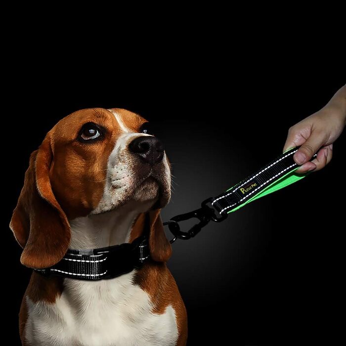 PLUTUS PET короткий повідок для великих собак 25,4 см, з карабіном та м'якою ручкою, чорний
