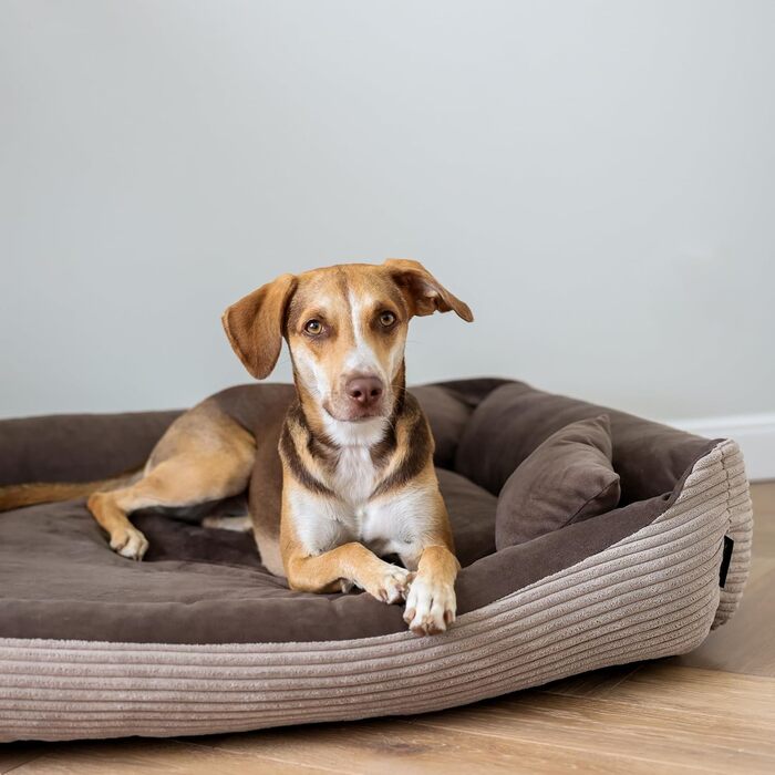 4L Textil Hundebett Molly - зручне ліжко для собак середніх порід, м'який велюр, коричневий колір (100x80 см)