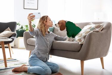 Светр для собак з коміром-горловиною, в'язаний, однотонний, для цуценят, теплий, для собак маленьких та середніх порід (зелений, розмір S/M)