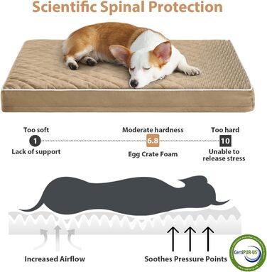 Ортопедичне собаче ліжко WNPETHOME XL, водонепроникне, велике, знімний та пральний чохол, антиковзаюча підкладка, Eierkisten-піна, 104x69x10 см (Колір: Коричневий)